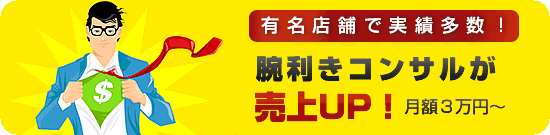 miniconsulbanner.gif