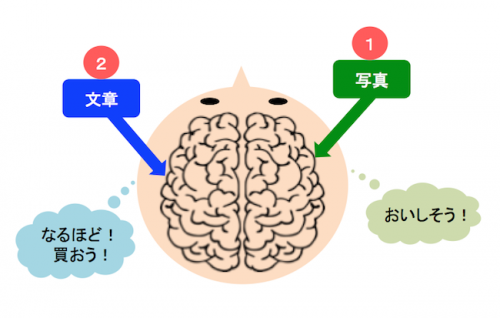 右脳にアタックするのが写真の役目、それをどんな行動に結びつけるか、判断材料になるのが文章の役目。